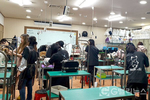 사진 - 인천프로펫평생교육원에서 교육 중인 수강생들