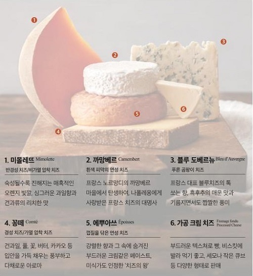 사진 - 홈오브치즈 팝업 방문 시 맛볼 수 있는 6종의 프랑스 치즈