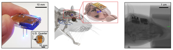 개발된 뇌 이식용 무선 디바이스. (좌) 무선 디바이스의 사진. LED 탐침이 쥐의 뇌에 삽입된 상태에서, 쥐의 두피 안에 완전히 이식된 디바이스의 개념도 (중) 및 X-ray 사진 (우).