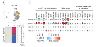 그림1) EGFR 돌연변이와 EGFR 야생형 폐암 조직에서 CD8 T세포 아형의 유전자 발현량의 차이