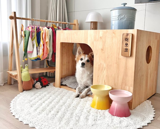 오늘의집 유저 home.yena님의 펫테리어. 사진=오늘의집