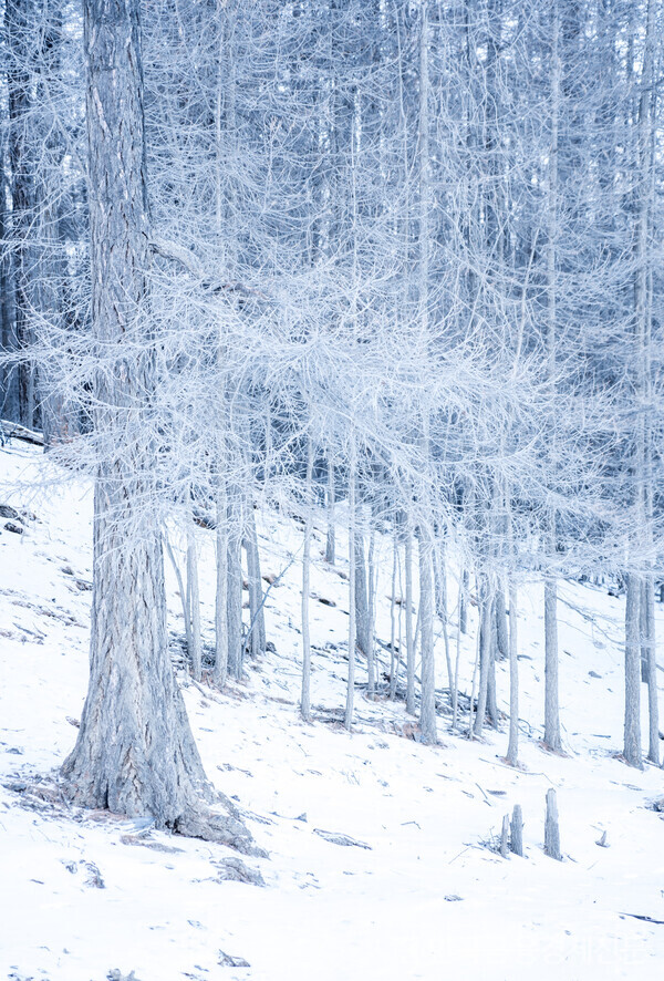 겨울 몽골 여행 중 숙소 근처를 산책하다 촬영한 풍경. 사진=김성훈 기자