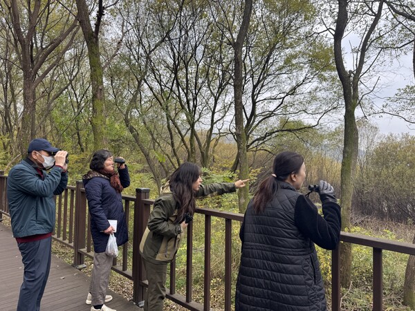 전남 담양군과 무등산생태탐방원이 지난 1년간 추진한 생태치유 협력 프로그램 진행 현장 모습. 사진=담양군