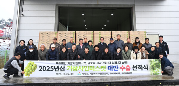 2025년산 고품질 거창 샤인머스캣, 대만 수출 첫 선적을 했다. 사진=거창군