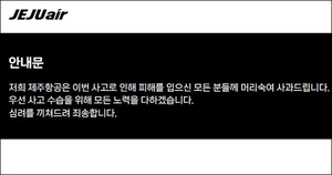 [특징주] 제주항공, 여객기 참사에 8% 급락 - 뉴스 썸네일 이미지